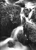 Bild anzeigen