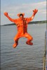 Bild anzeigen