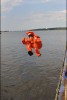 Bild anzeigen