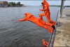 Bild anzeigen
