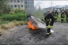 Bild anzeigen