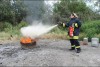 Bild anzeigen