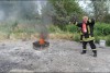 Bild anzeigen