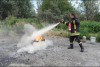 Bild anzeigen
