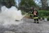 Bild anzeigen