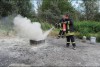 Bild anzeigen
