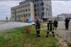 Bild anzeigen