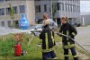 Bild anzeigen