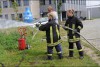 Bild anzeigen