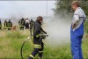 Bild anzeigen