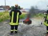 Bild anzeigen